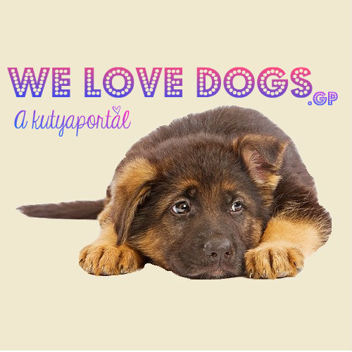 ~~ We Love Dogs * A kutyaportl ~~